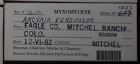 Image Associated With the Occurence